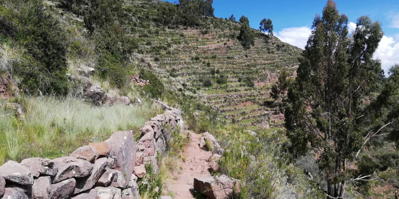 Taquile Hospedaje Mario Huillanopampa Luaran gambar