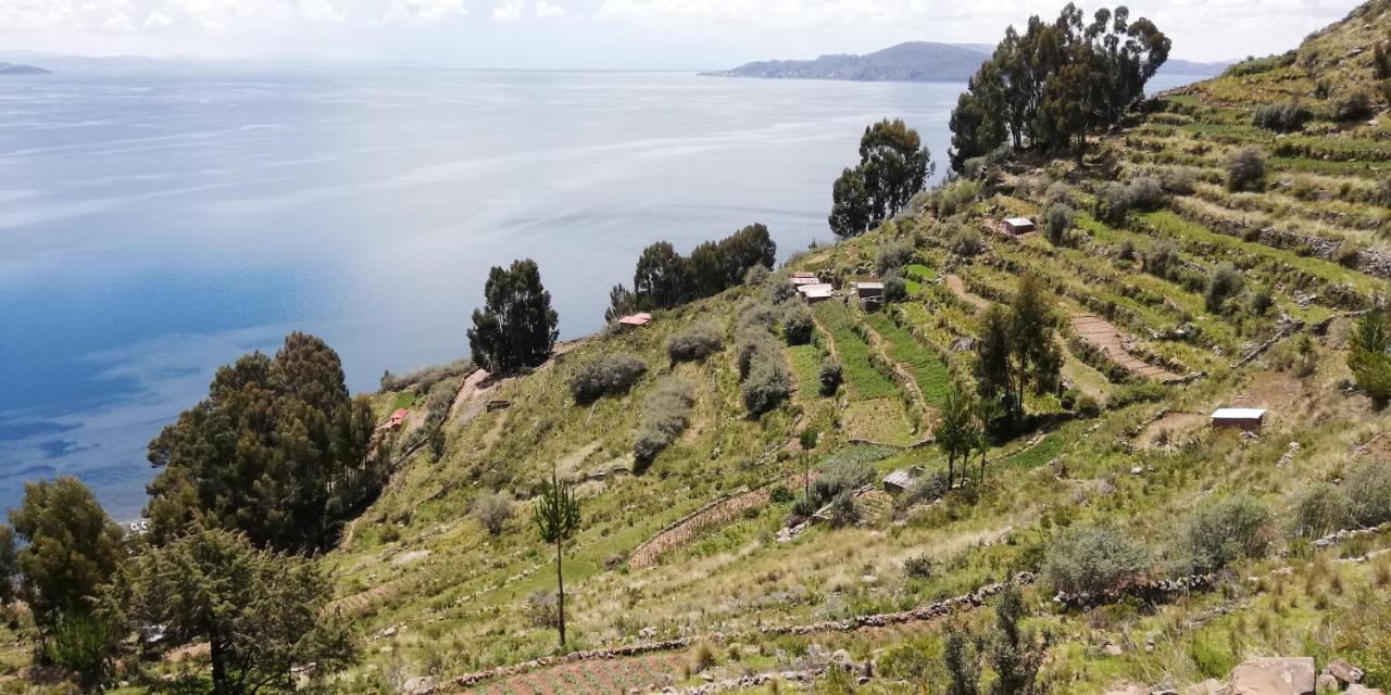 Taquile Hospedaje Mario Huillanopampa Luaran gambar
