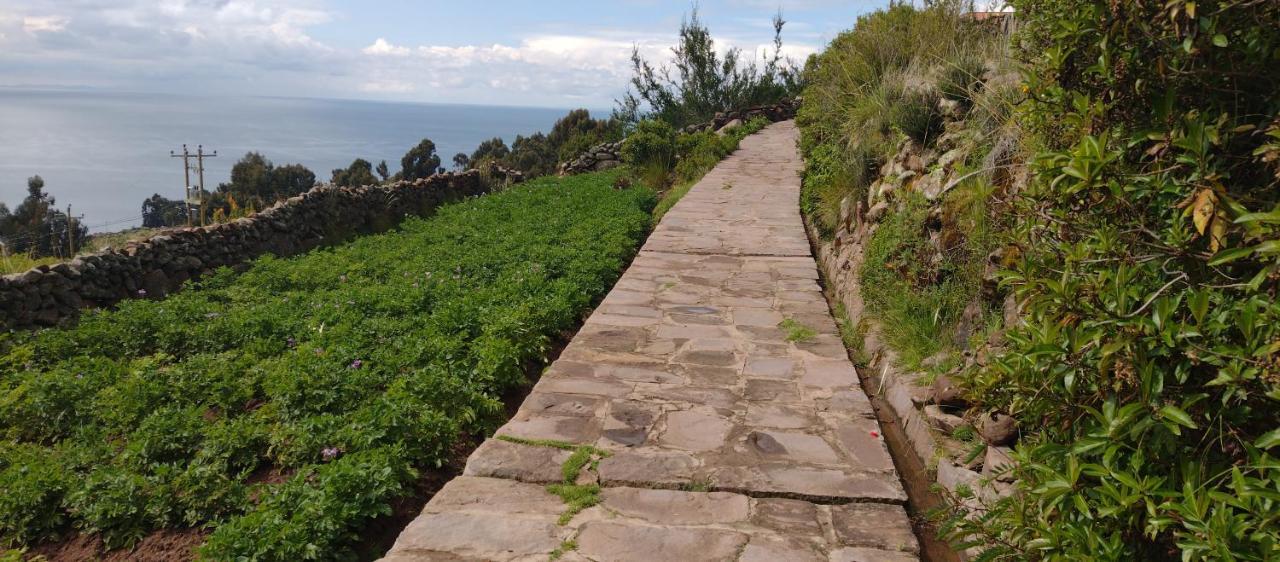 Taquile Hospedaje Mario Huillanopampa Luaran gambar